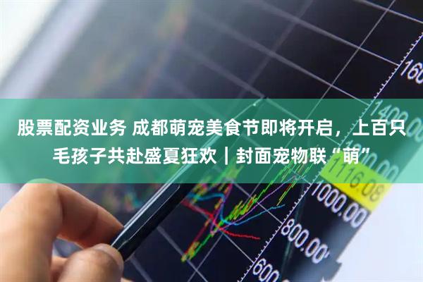 股票配资业务 成都萌宠美食节即将开启，上百只毛孩子共赴盛夏狂欢｜封面宠物联“萌”
