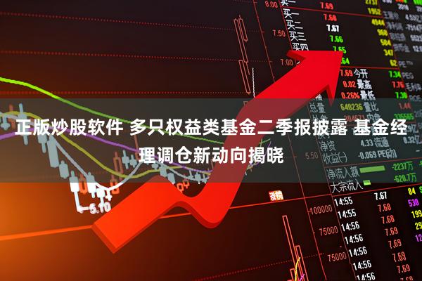 正版炒股软件 多只权益类基金二季报披露 基金经理调仓新动向揭晓