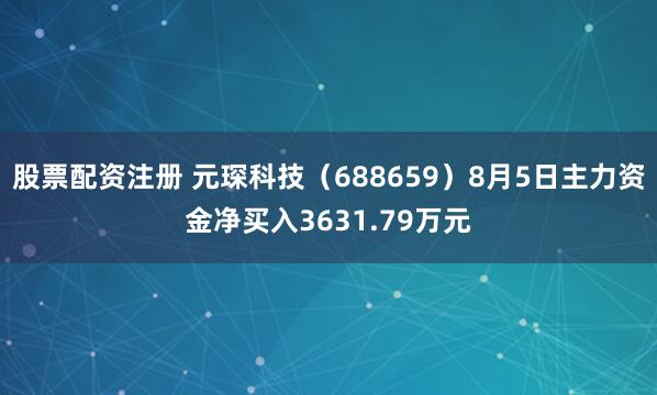 股票配资注册 元琛科技（688659）8月5日主力资金净买入3631.79万元